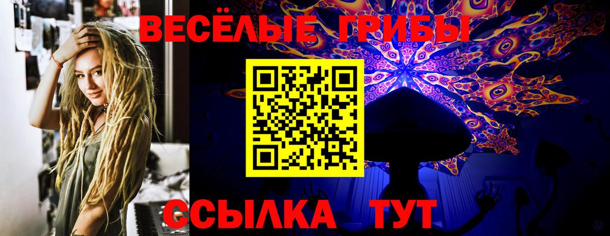 Псилоцибиновые грибы Cubensis Мичуринск