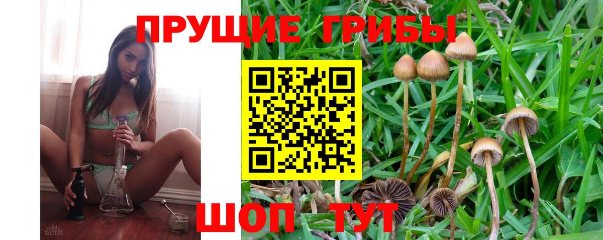 Псилоцибиновые грибы Magic Shrooms  Вход с VPN  где купить наркотик  Мичуринск 